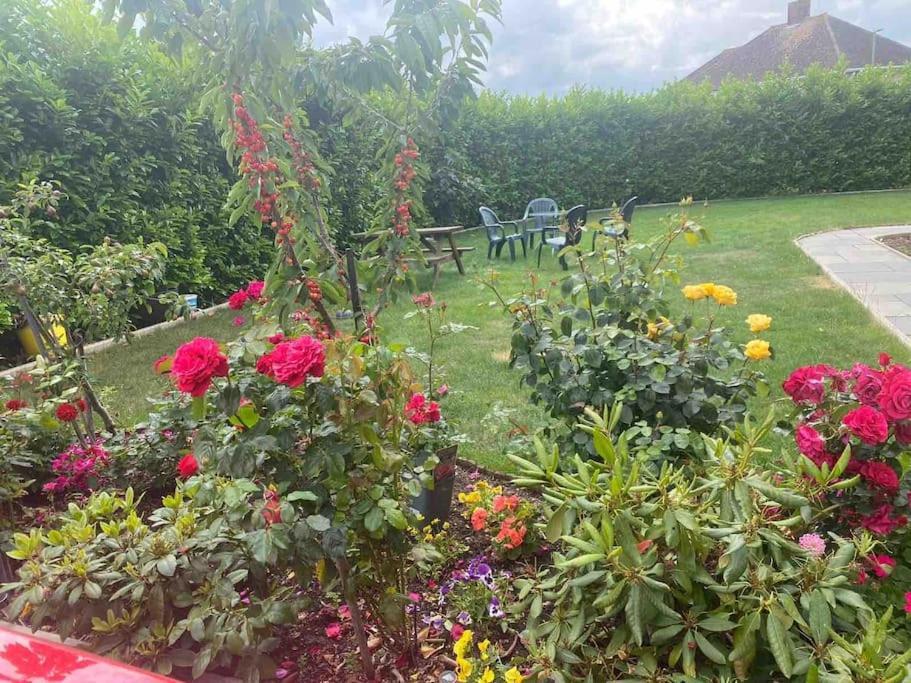 Lovely 1 Bed With Free Parking * Oxford